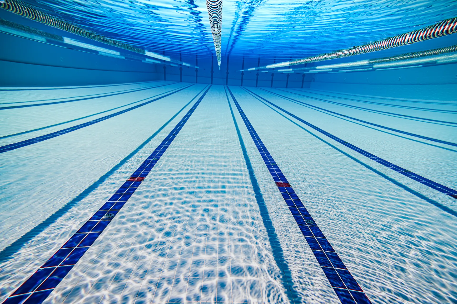 olympic-swimming-pool-under-water-background-2023-11-27-05-20-19-utc