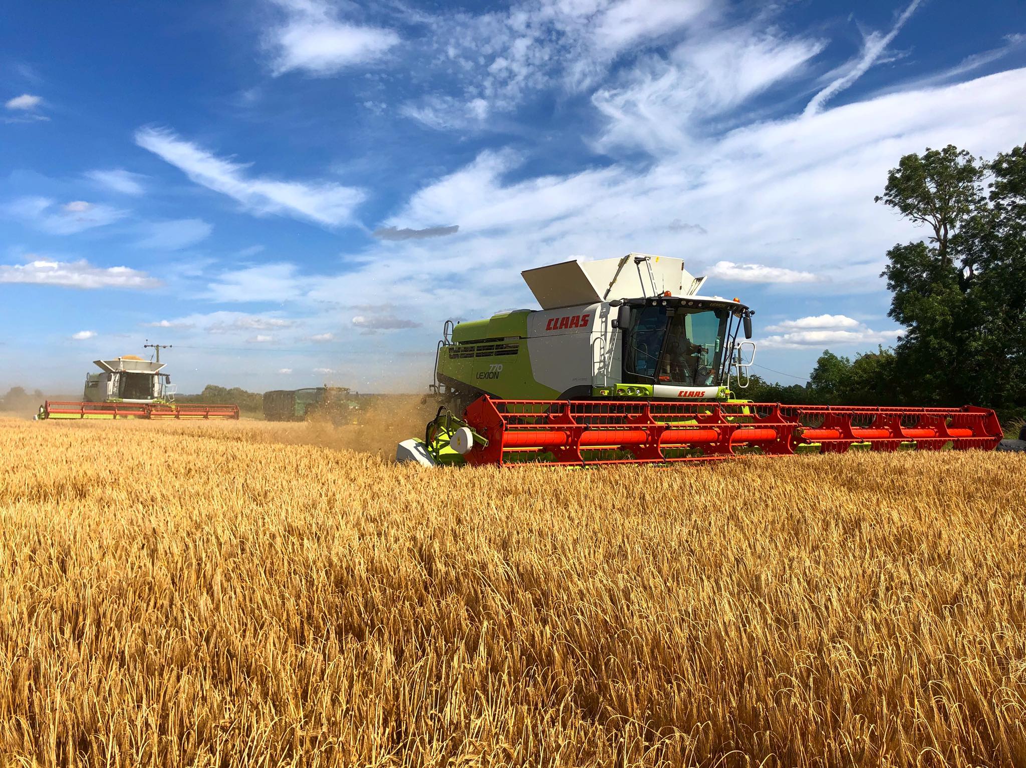 67081854_628824437601067_5060613064110374912_n