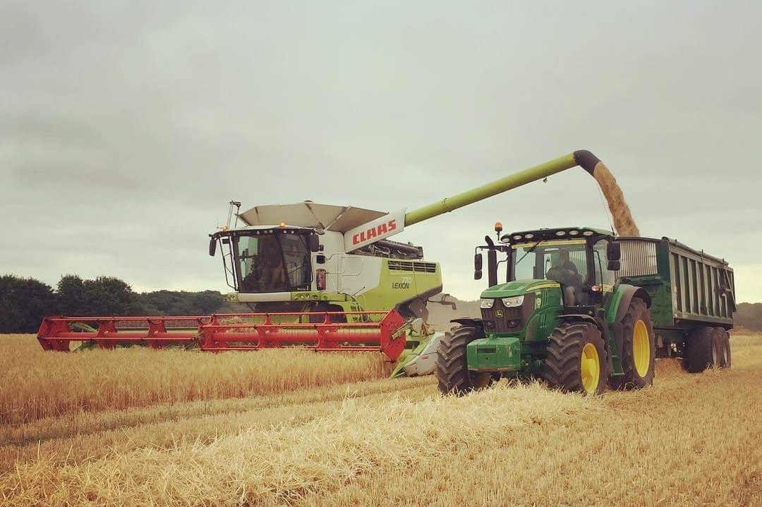 36867598_410858589397654_7748444739438903296CROPPED